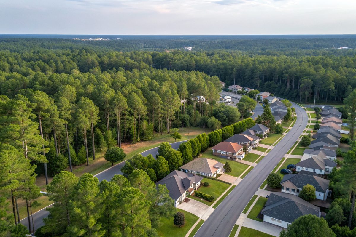Aerial view of shingle roofs along curving streets among tall pine trees