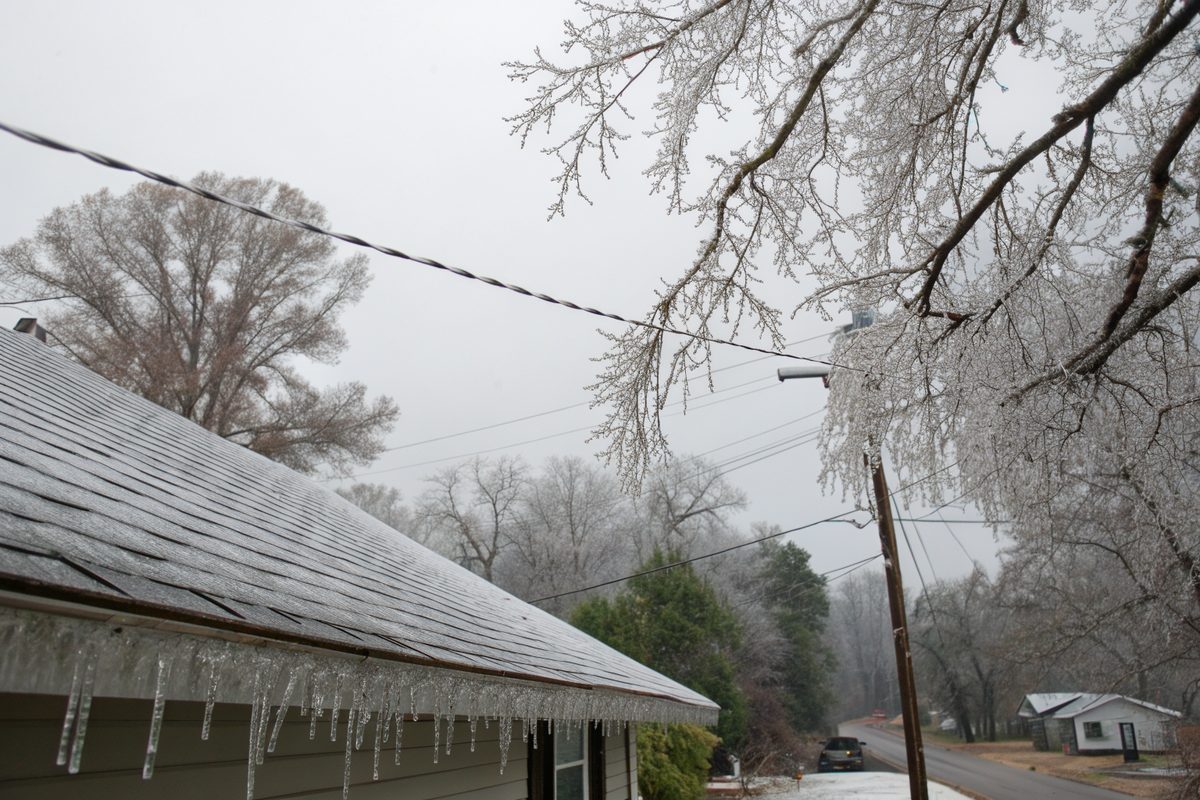Ice coating tree branches and the edge of a shingle roof after an ice storm