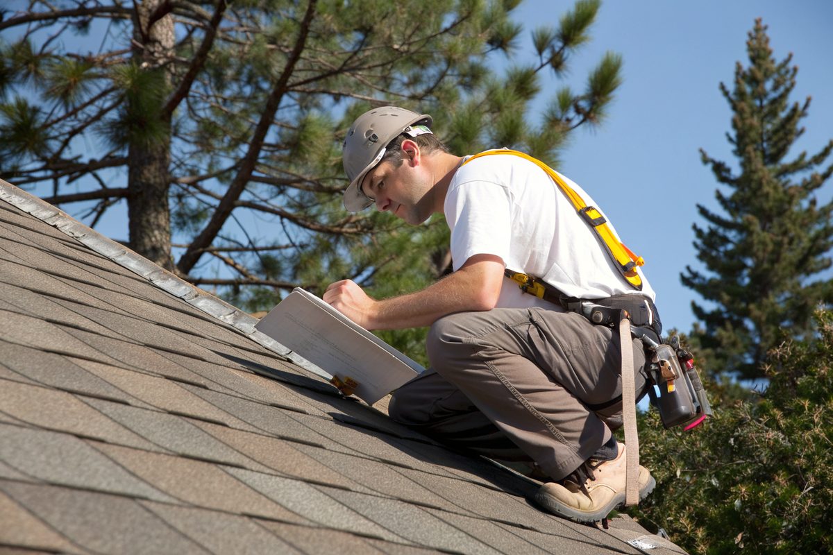 A roofer in a safety harness checking shingles with a clipboard, pines behind
